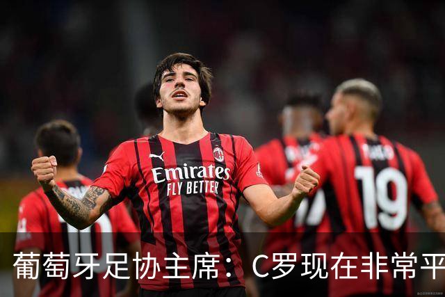 葡萄牙足协主席：C罗现在非常平静 在我们面临压力时这将非常重要