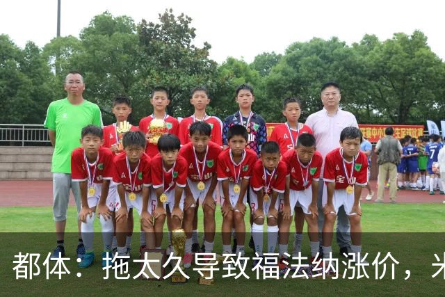 都体：拖太久导致福法纳涨价，米兰考虑拉比奥特